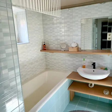 Casa Ama Apartment Timisoara