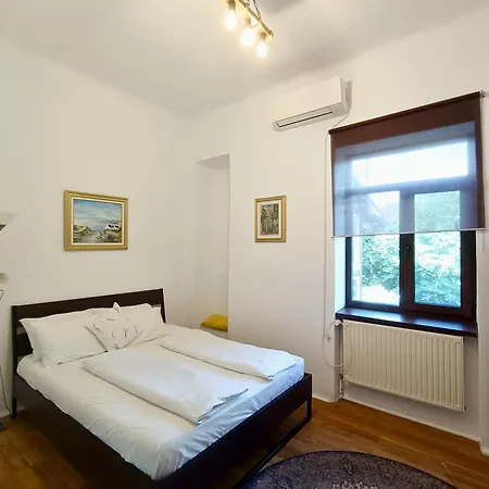 Casa Ama Apartment Timisoara
