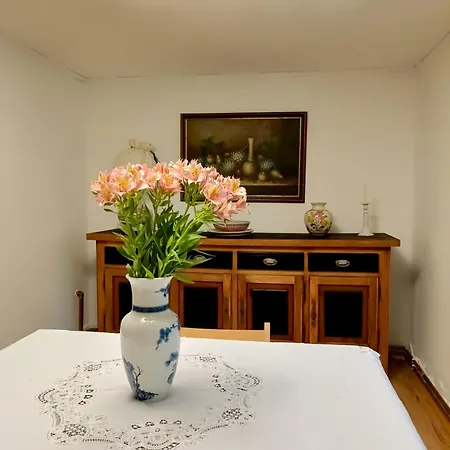 Casa Ama Apartment Timisoara