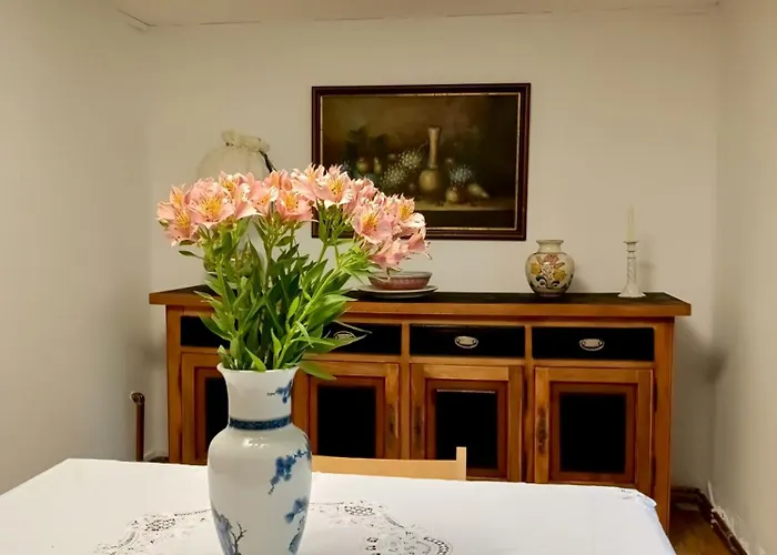 Casa Ama Appartement Timişoara